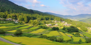 都会と地方の壁をなくすのイメージ